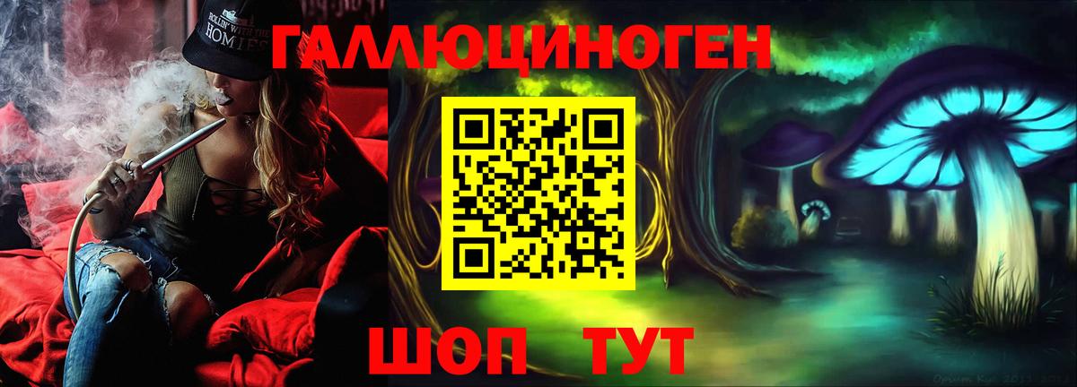 Ржев  Галлюциногенные грибы прущие грибы  Вход с VPN  Псилоцибиновые грибы Psilocybe 